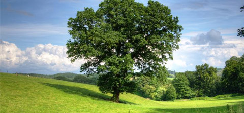 Arrêté en matière d’environnement et qualité de vie des citoyens