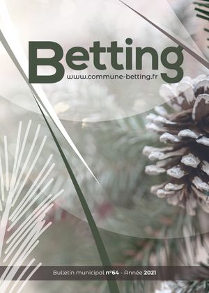 Bulletin municipal Betting 64